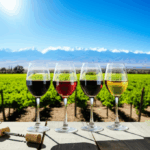Experiencias Enológicas Inolvidables en Mendoza: La Selección Top de Bodegas y Wine Bars