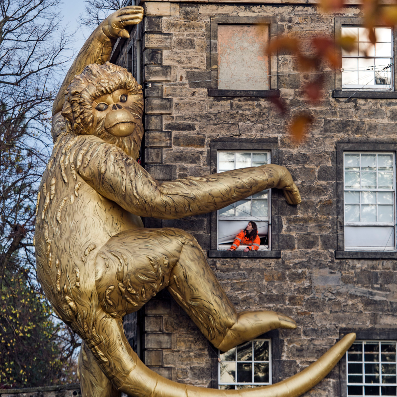 Golden Monkey Art Gallery